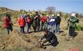 （活力中国调研行）科尔沁沙地上的栽树人：让种的每棵树都活下来