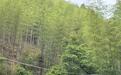 福建多地救援队赶来搜救失联的8岁男孩，周边众多村民也已加入搜救