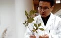 国家重要野生植物种质资源库辰山中心种子存量突破一亿粒(4)