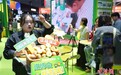 （第八届进博会）各国美食香飘进博会