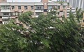 台风“韦帕”携强风雨而来，气象专家：华南需严阵以待