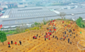 重庆多地开展植树活动，共筑生态屏障
