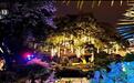 博物馆“超长待机”人气火热 夜游体验“点燃”夏日文旅消费新引擎