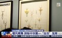 文化中国行丨高校里竟藏着“虫羽宝库”“动物王国”？来这上一堂最生动自然课