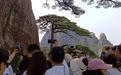 每天2万多人打卡黄山迎客松，本月中旬它将披“黄金甲”