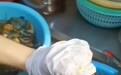 女子小龙虾里剥出多颗“龙珠”，专家解读其来历