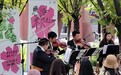 春日限定！来抚州市灵谷峰“淋”一场樱花雨吧