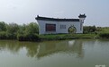大河奔涌万象新 | 陕西合阳：守护黄河生态底色