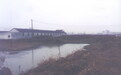 中安观察｜“小草房”跑出“千里马”，奇瑞靠什么？