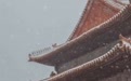 雪落紫禁城“汉服小姐姐”纷纷拍照打卡，故宫周边妆造店：客流量明显增多