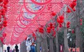 吾乡丨春节限定Citywalk 带你解锁街巷年味记忆