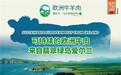 可持续的欧洲牛肉，来自翡翠绿岛爱尔兰