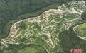 （乡村行·看振兴）福建大田：“股”活青山 生态富民