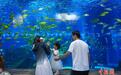 云南昆明：畅游海洋世界享快乐暑假