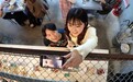 尤其受到年轻网民追捧，为餐饮业创造流量红利，俯拍美食成为日本探店新风尚