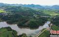 靠山吃山开“良方”湖南新晃黄精产业铺“新路”