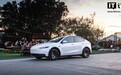 特斯拉推出 Model 3/Y 标准版后股价大跌 4.45%，分析师评价不一