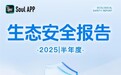 聚焦生态治理，Soul APP创始人张璐团队发布《2025生态安全半年报》