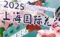 茉莉奶白登陆上海国际花展 全城齐“追香”