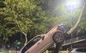 女子把新能源车开到树上，目击者称其受伤未酒驾，警方回应