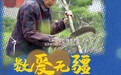 以爱为翼，公益力量托起幸福夕阳红