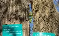 比余华与史铁生的友情更动人的是什么