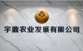 哀牢山黑人参 宇鼎农业发展（云南)有限公司