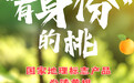 海报丨桃界甜妹申请出战！炎陵黄桃一口上头