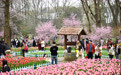 生态中国｜花开神州春意浓#