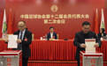 足球——中国足协第十二届会员代表大会第二次会议在京召开(2)