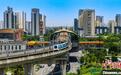 杭海城际开通四周年：一条轨道跑出同城发展加速度