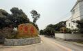 （走进中国乡村）广东高州借荔枝文化促“庭院经济”