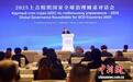 2025上合组织国家全球治理圆桌对话会举行