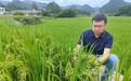 菌安天下胡鉴：从科研到市场，农业创新征程上的逐光者