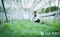 行进中国|写在青山绿水间的"生态答卷"