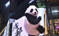 成都裸眼3D数字熊猫上新动效(6)