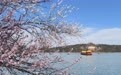 北京：颐和园尽显春日浪漫