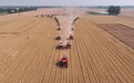 领跑密码|大国粮安的山东重工答卷