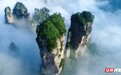 避暑康养到湖南⑧丨张家界国家森林公园&崇山：峰林峡谷间寻清凉秘境