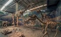 川港文旅交流启新篇 中华恐龙化石耀香江