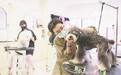 小萌宠撬动大市场