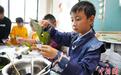 传统文化进校园 昆明小学生“粽”享欢乐迎双节