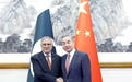 巴基斯坦副总理：感谢中方主持公道