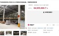 国产新势力天际汽车资产不到一折甩卖