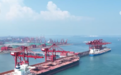 小时级→分钟级 “人工智能+”驱动港口智慧转型 AI赋能世界一流海洋港口建设