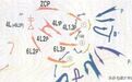 “2.11战斗”第1军老山战区重创越军，粉碎敌人“堑壕延伸”战术