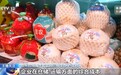 视频丨从硬联通到软联通 中国—东盟3.0版开启区域经济合作新篇章