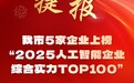 2025人工智能企业综合实力百强榜出炉，成都市5家企业上榜