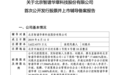 智谱先冲向了IPO