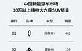 广汽昊铂HL销量增速明显，稳居30万级纯电大六座SUV销量TOP1